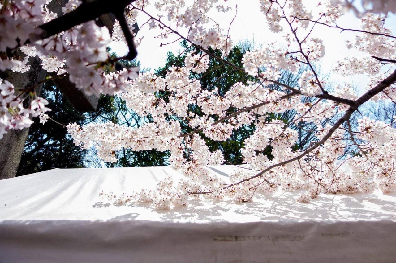 Tora Hotel Tokyo-Kitaueno 寅ホテル北上野 Экстерьер фото