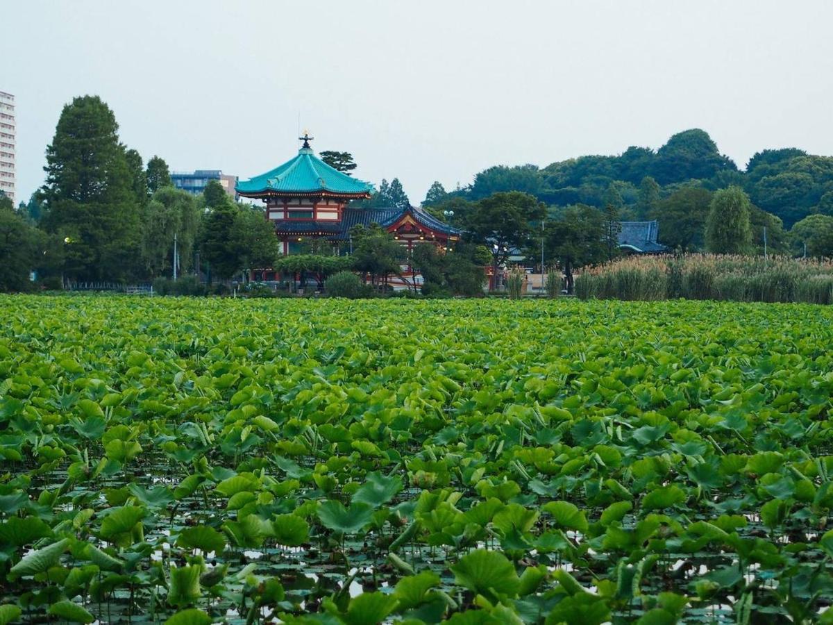 Tora Hotel Tokyo-Kitaueno 寅ホテル北上野 Экстерьер фото